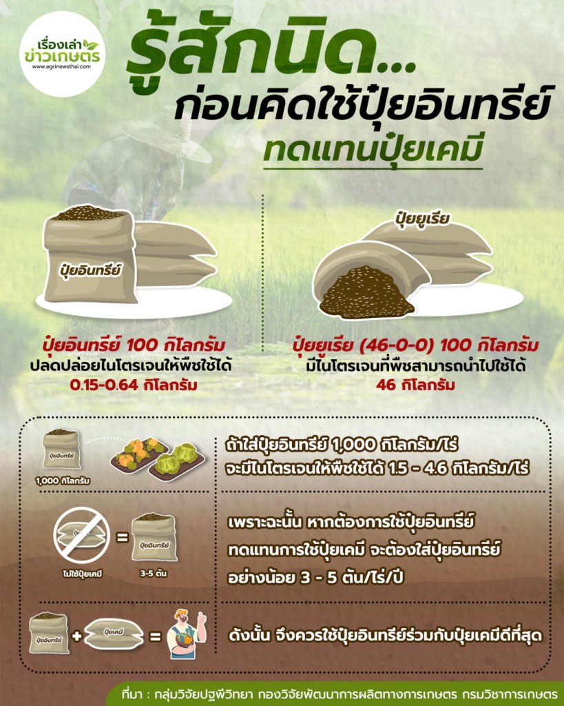 รู้สักนิด ก่อนคิดใช้ปุ๋ยอินทรีย์ ทดแทนปุ๋ยเคมี 2 277576080 755139295872011 8720387807330968603 n