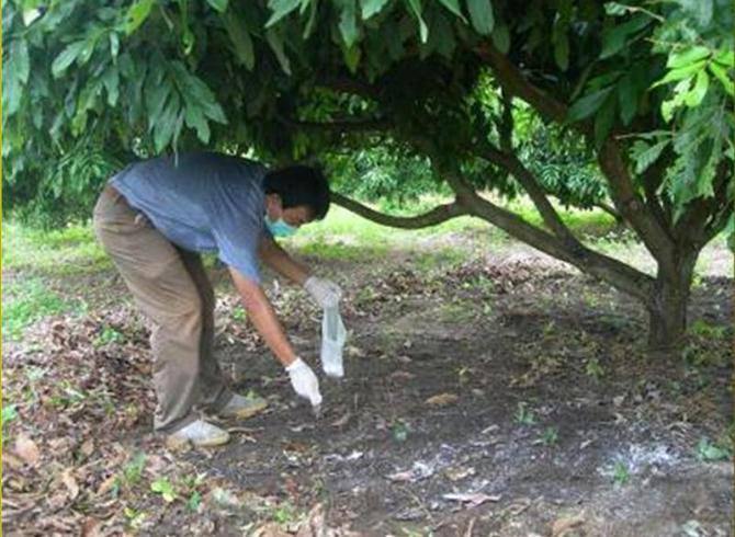 278939044 321490023463552 4219904718429784799 n