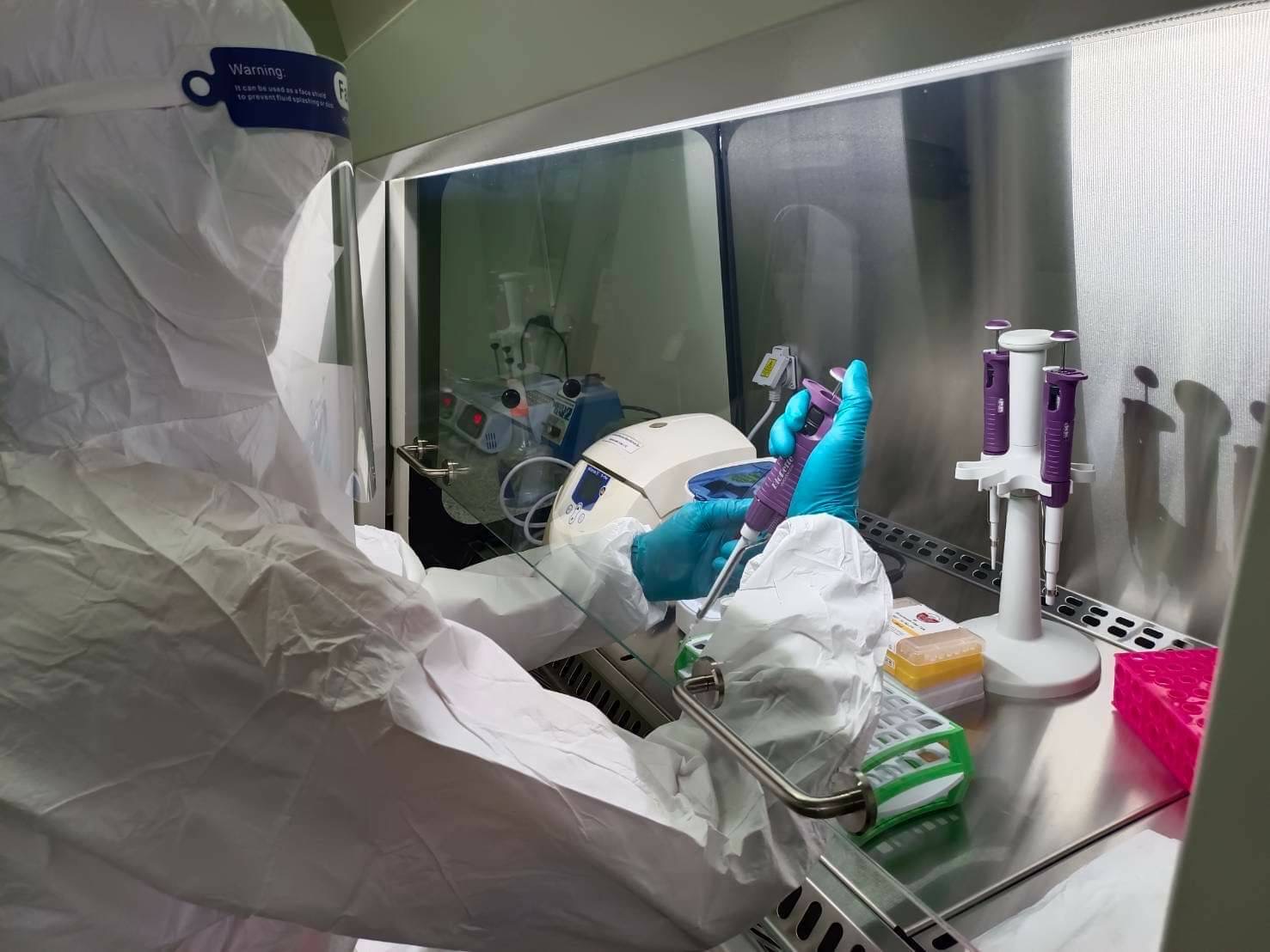 สุดเจ๋ง!กรมวิชาการเกษตร พัฒนาห้องแลปตรวจหาเชื้อโควิด-19 ในทุเรียน 2 4841C528 7974 4797 8648 2BA00A8161D5