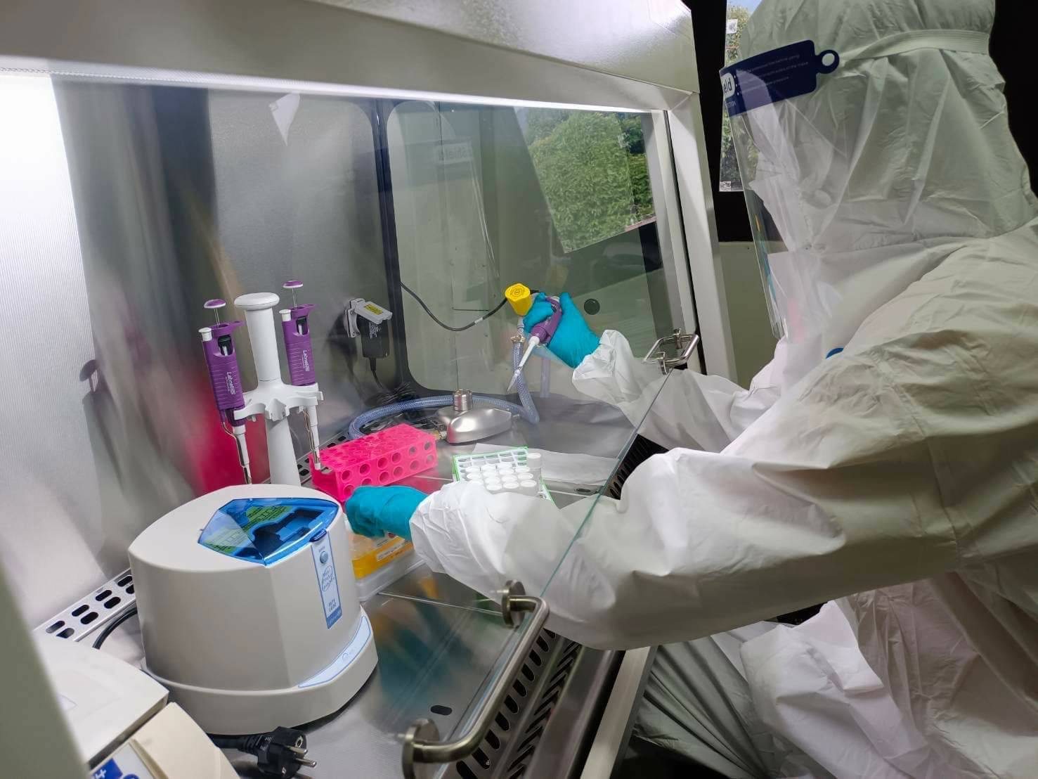 สุดเจ๋ง!กรมวิชาการเกษตร พัฒนาห้องแลปตรวจหาเชื้อโควิด-19 ในทุเรียน 4 684724B0 F994 4FAD B2B0 EE8B967E5920