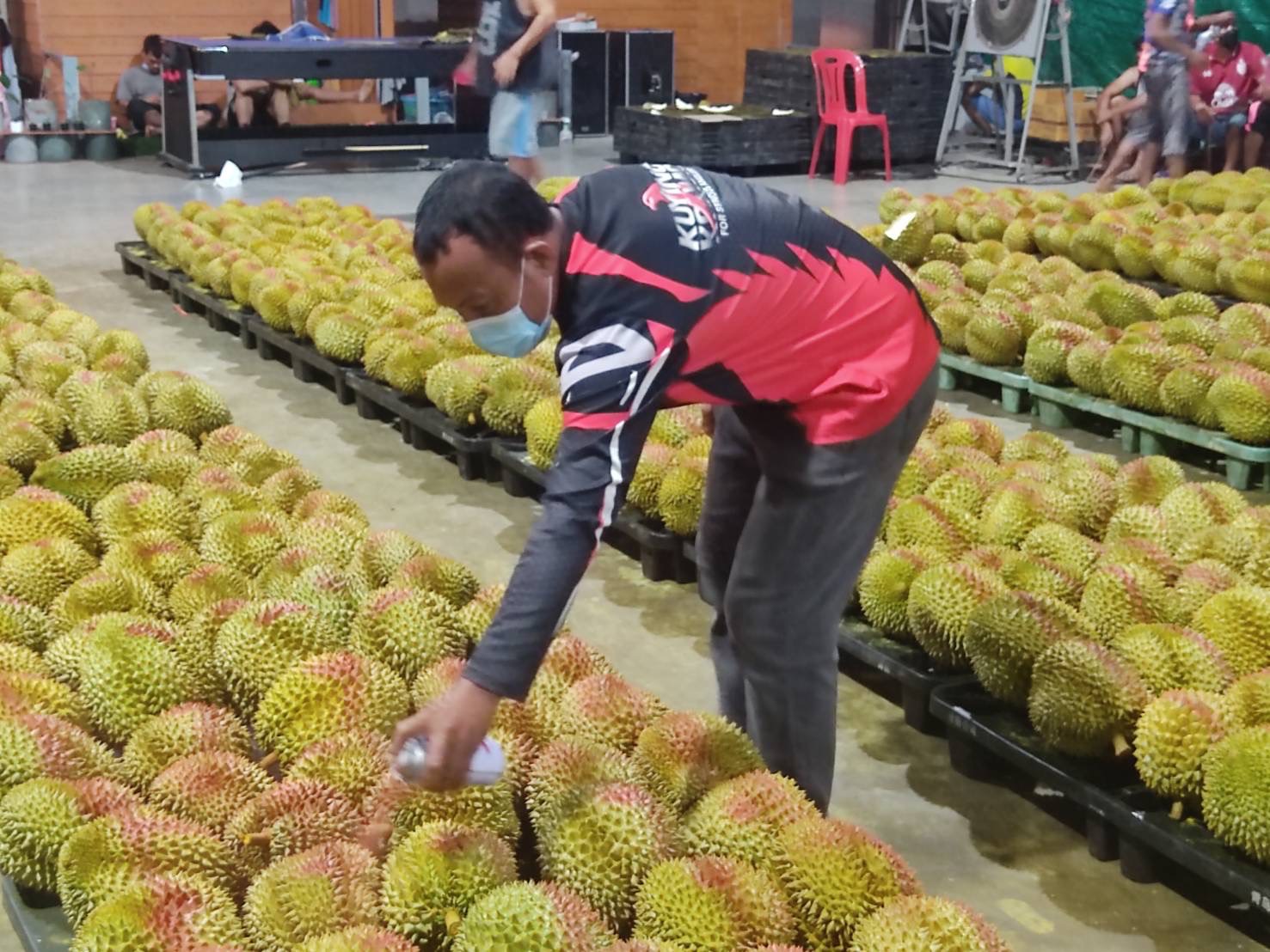 โดนแล้ว!!! ผิดกติกา แพ็คทุเรียนขึ้นตู้ ไม่รอตรวจ ทีมเล็บเหยี่ยวสั่งรื้อตรวจใหม่ทั้งหมด พบทุเรียนอ่อนปนอยู่เกือบ 5,000 ก.ก. 2 S 11477306