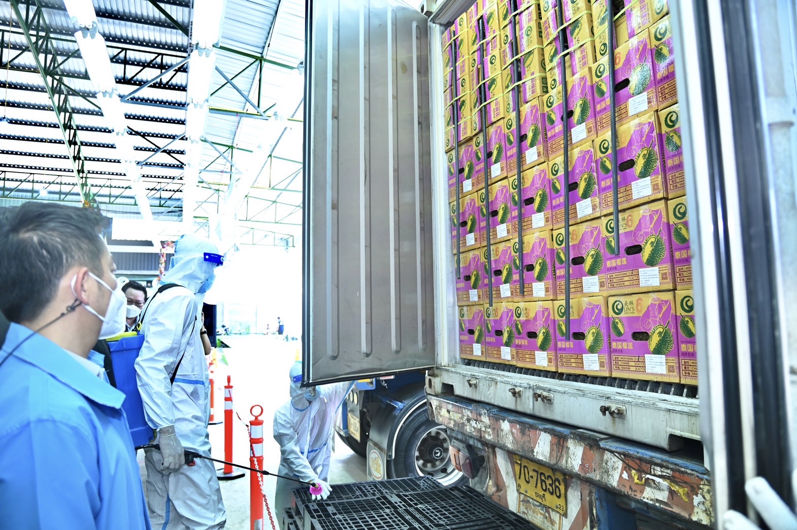 ‘เฉลิมชัย’ ย้ำชัด!! ทุเรียนไทยทุกลูกต้องปลอดโควิด 4 S 22552739