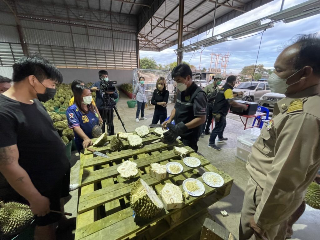 ปิดเมือง-การขนส่ง และตัดรูดตามสัญญา สาเหตุทำราคาทุเรียนตก “เจ๊แหม่ม” ยัน ไม่เกี่ยวกับเจ้าหน้าที่เข้มงวด ! 4 S 26280019