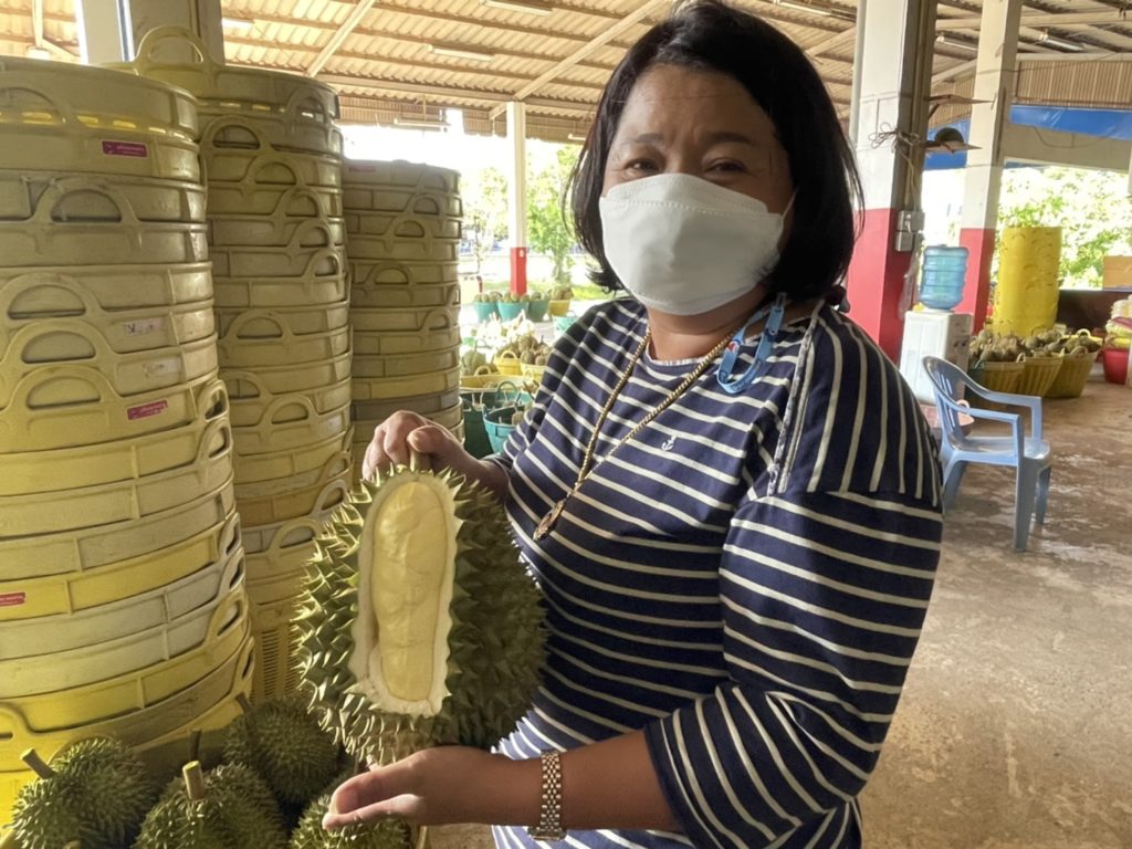 ปิดเมือง-การขนส่ง และตัดรูดตามสัญญา สาเหตุทำราคาทุเรียนตก “เจ๊แหม่ม” ยัน ไม่เกี่ยวกับเจ้าหน้าที่เข้มงวด ! 2 S 26411026