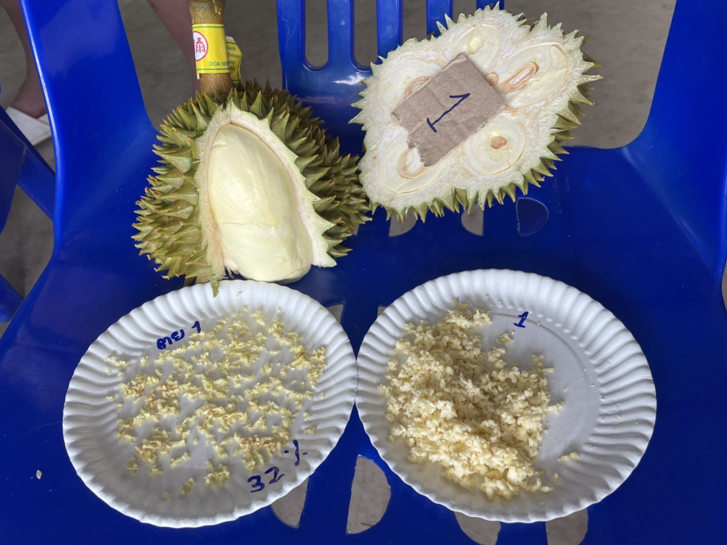 เตือนล้งอย่าส่งออกทุเรียนต่ำเกณฑ์ เตรียมรื้อตรวจทุกกล่อง 2 S 26804332