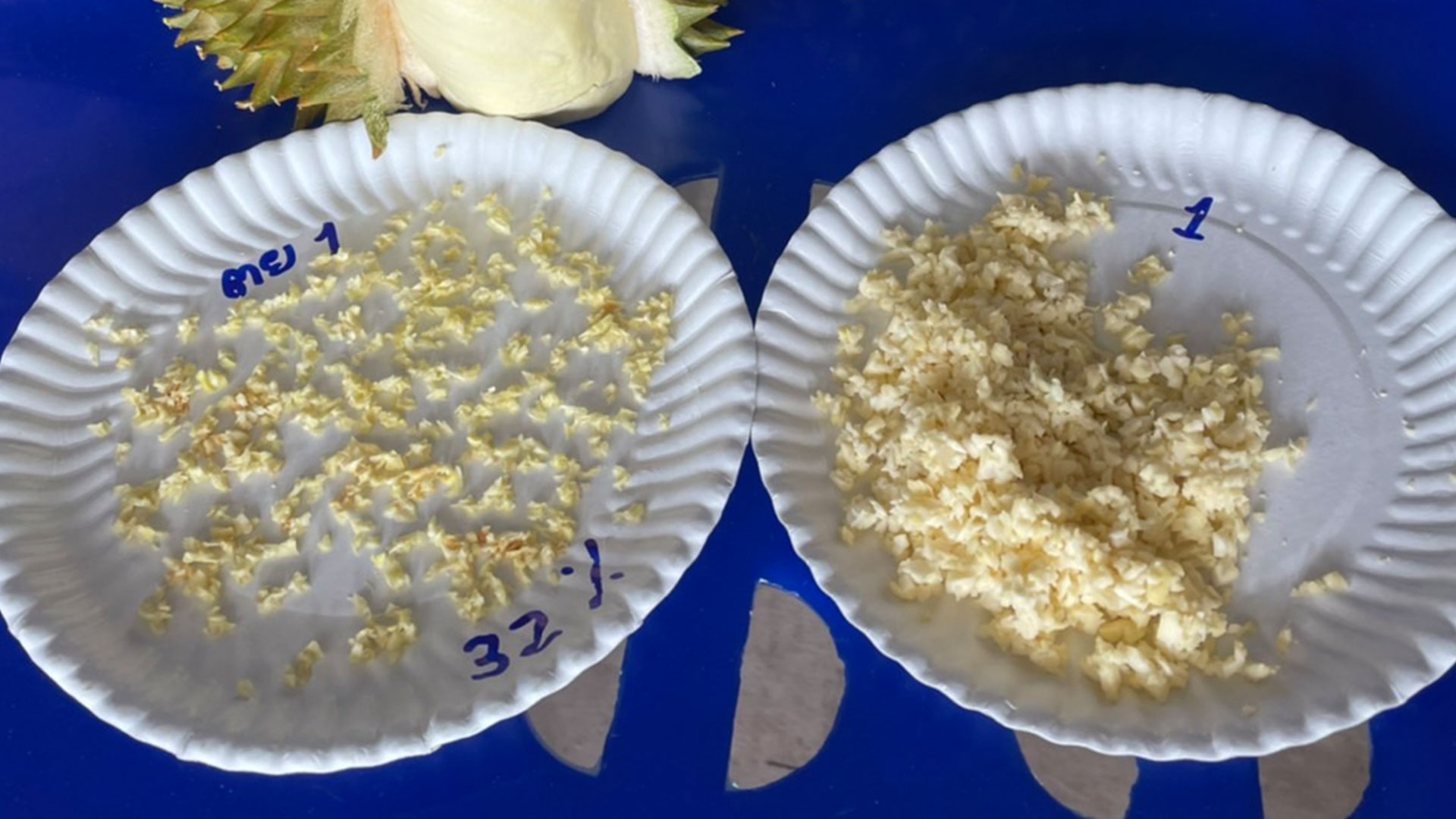 เตือนล้งอย่าส่งออกทุเรียนต่ำเกณฑ์ เตรียมรื้อตรวจทุกกล่อง 1 ทุเรียนต่ำกว่า