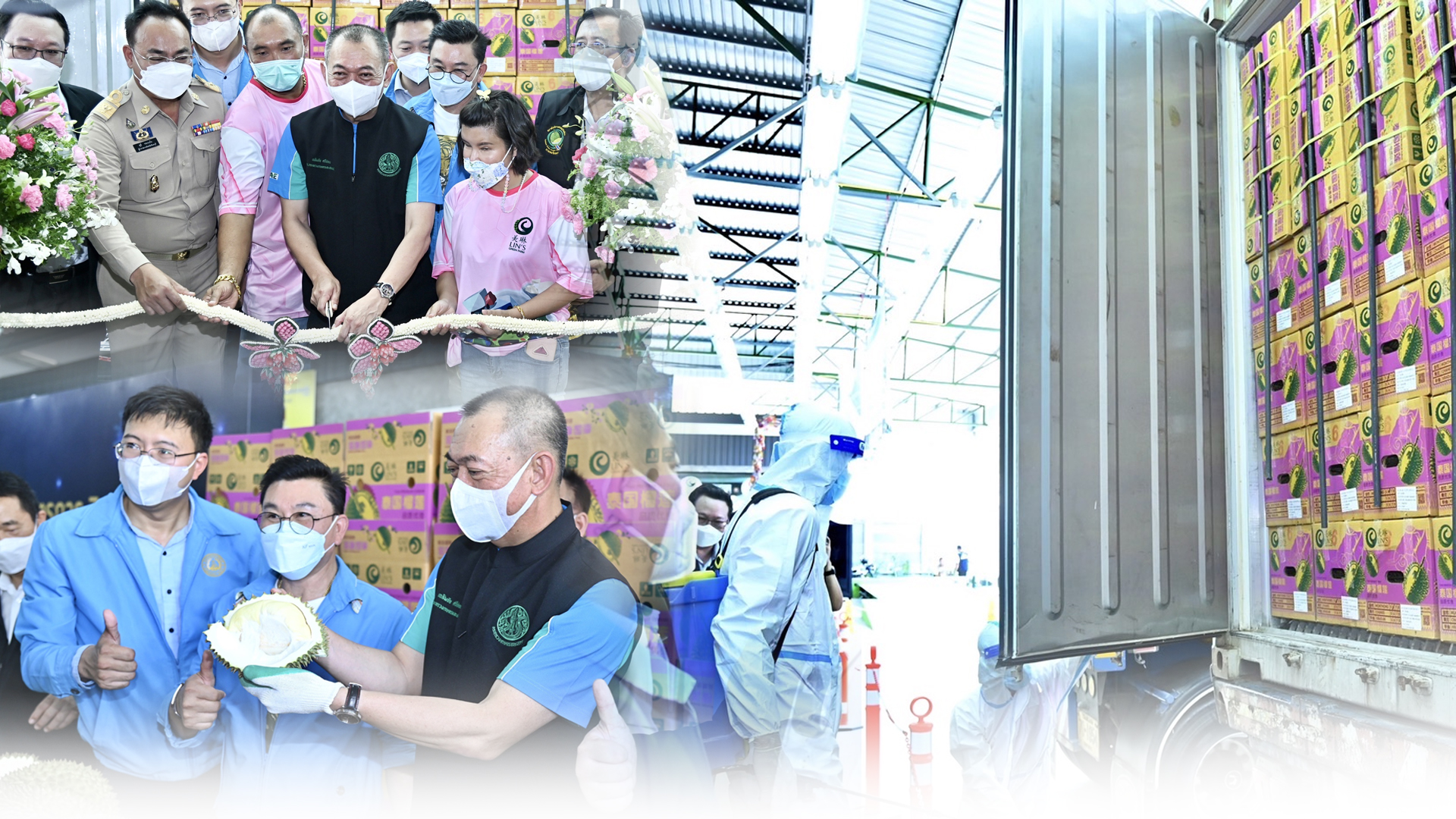 ‘เฉลิมชัย’ ย้ำชัด!! ทุเรียนไทยทุกลูกต้องปลอดโควิด 1 เกษตรศูน2