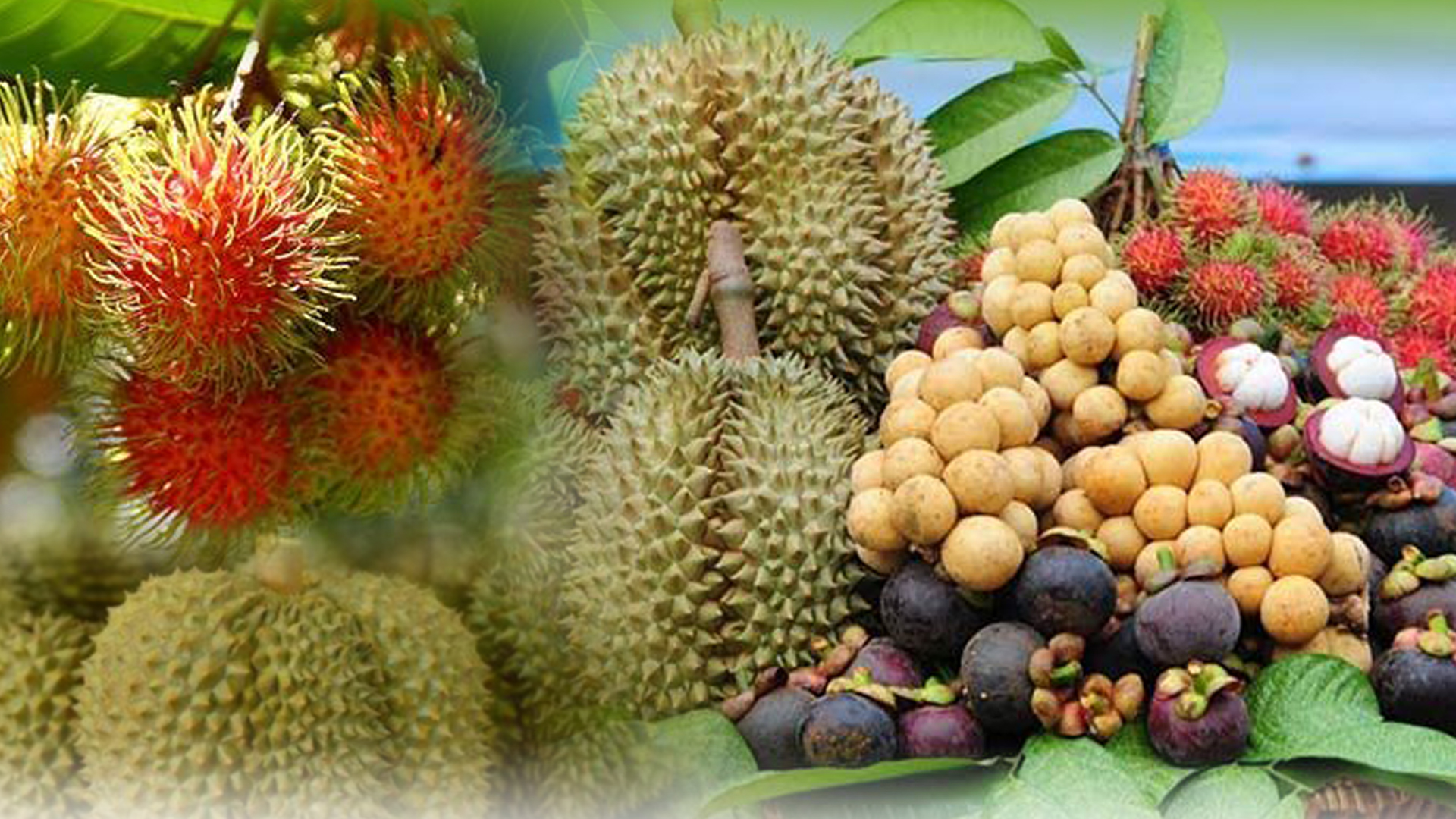 เปิดข้อมูล 05 8