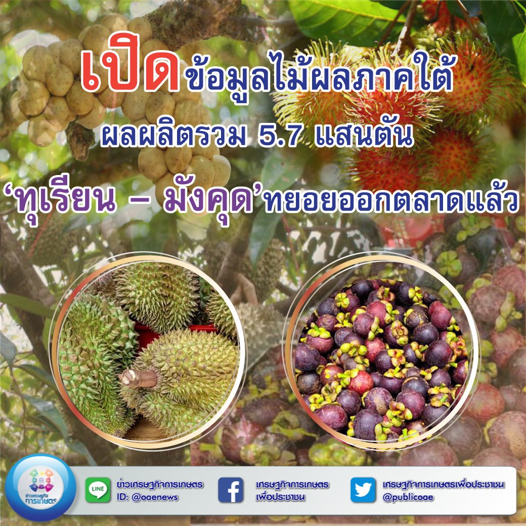 เปิดข้อมูล 282408542 312436517729358 3391370624183913446 n