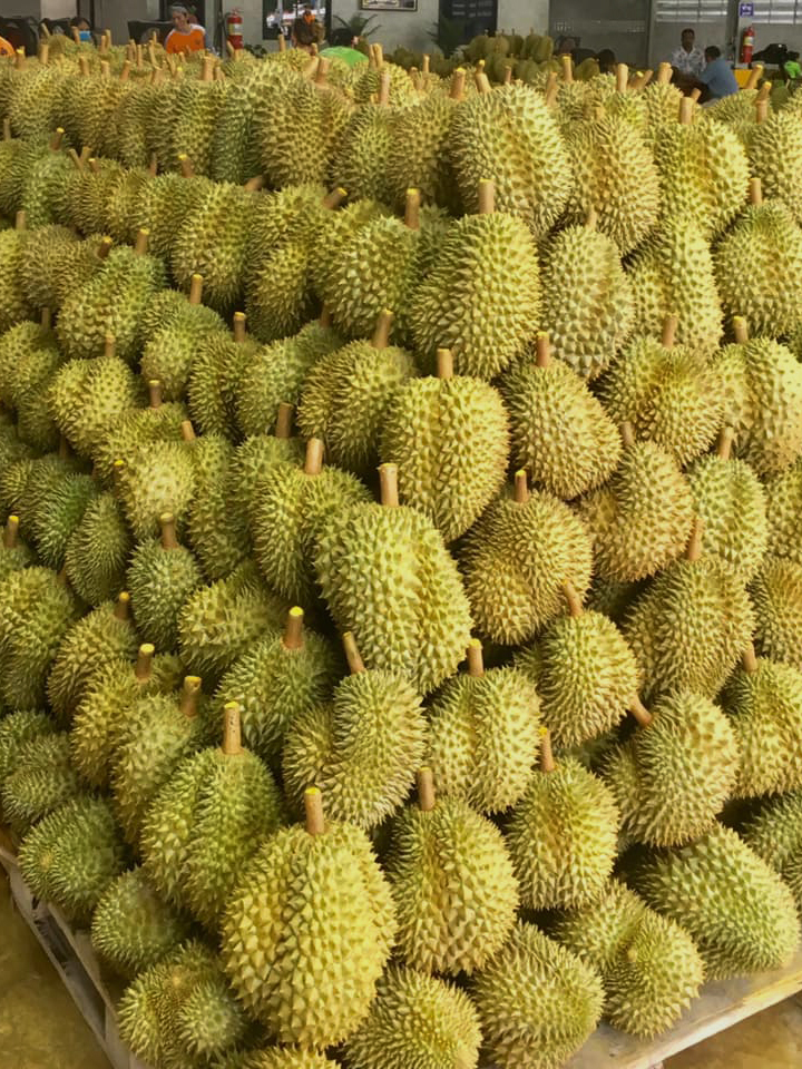 3234D4F1 C056 4C17 8D94 C55E0185508F