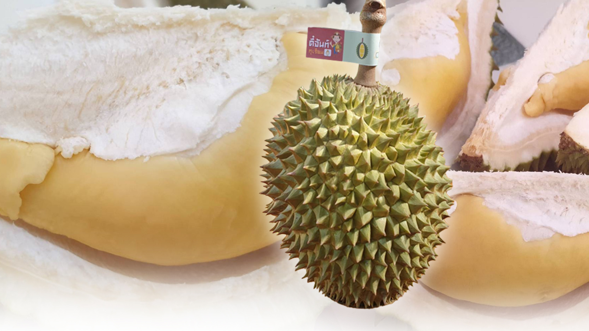 เปิดวาร์ปทุเรียน 3ECB2EA8 EFB5 4522 A573 6408881D1B0C