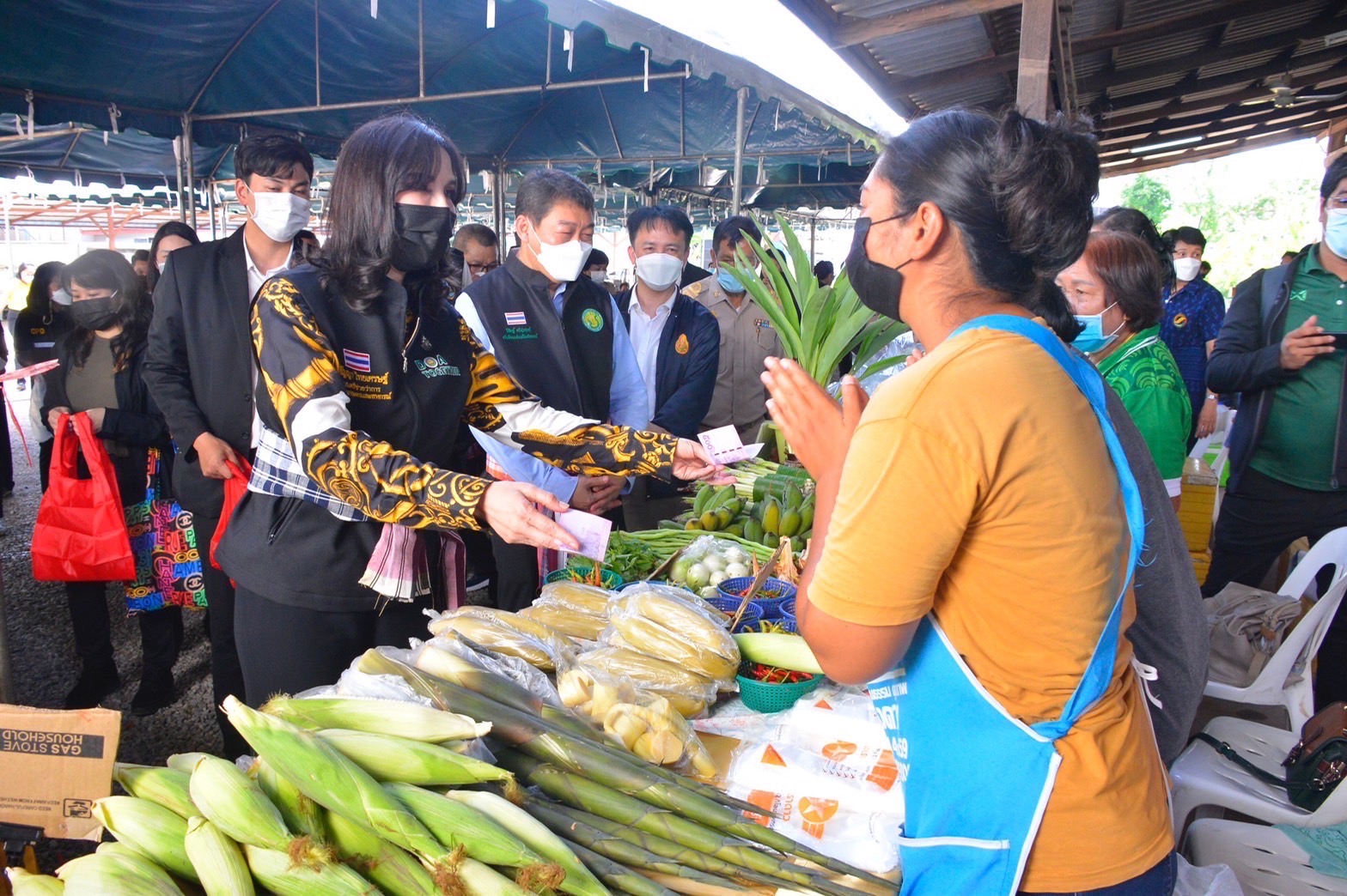 “มนัญญา”ลุยเดินหน้าโครงการ”นำลูกหลานเกษตรกรกลับบ้าน” 2 44D241E9 AC87 4051 A60C B59B06733EA6