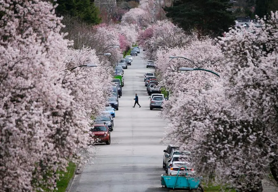ลาวเฝ้าระวัง”ฝีดาษลิง”จาก นทท.-แคนาดาพบผู้ติดเชื้อเกือบ 20 คนแล้ว 2 5ADF54E6 9F20 4E0C B362 591AAA429087