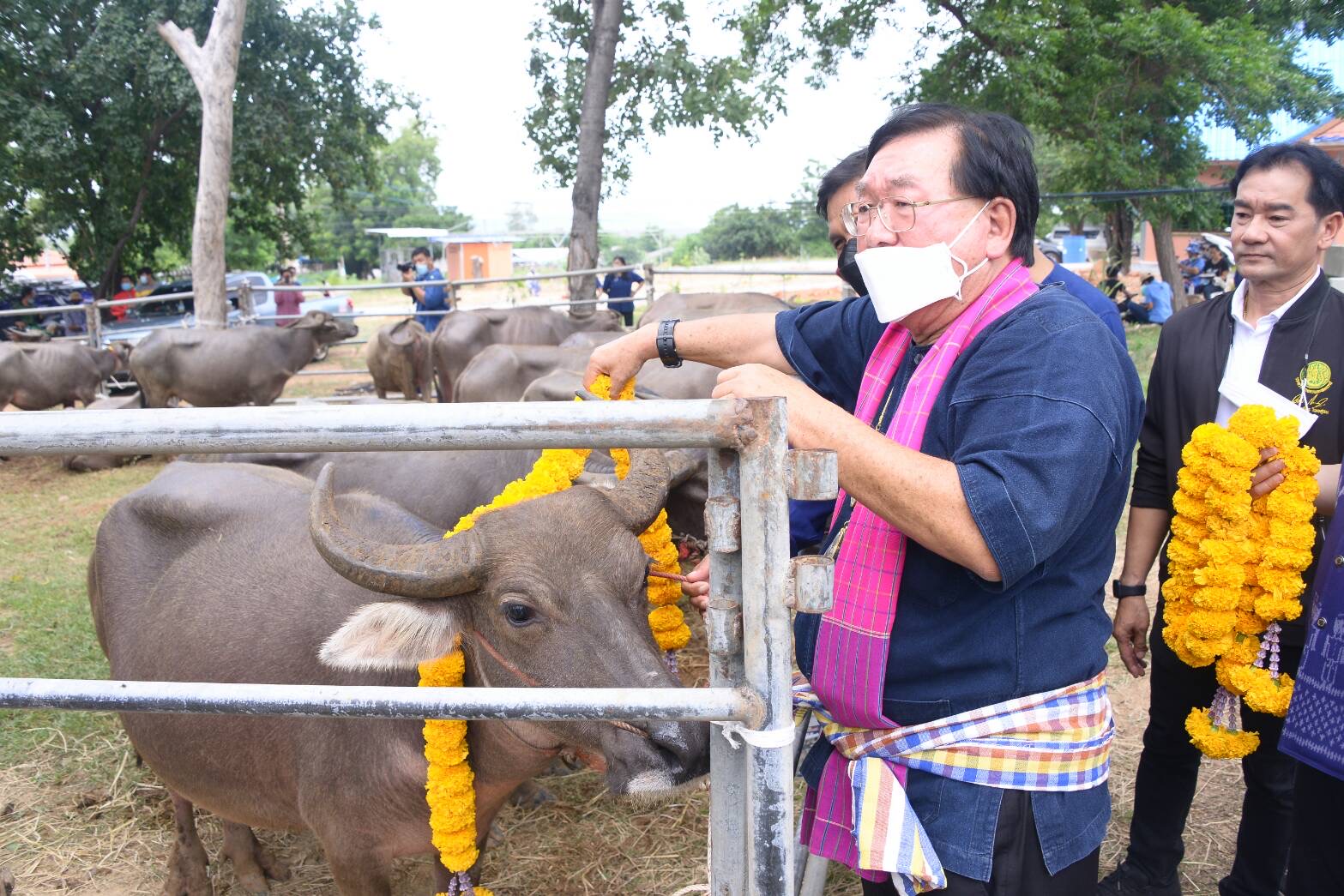 60A28806 2636 4C08 8F53 8DA677818CE7