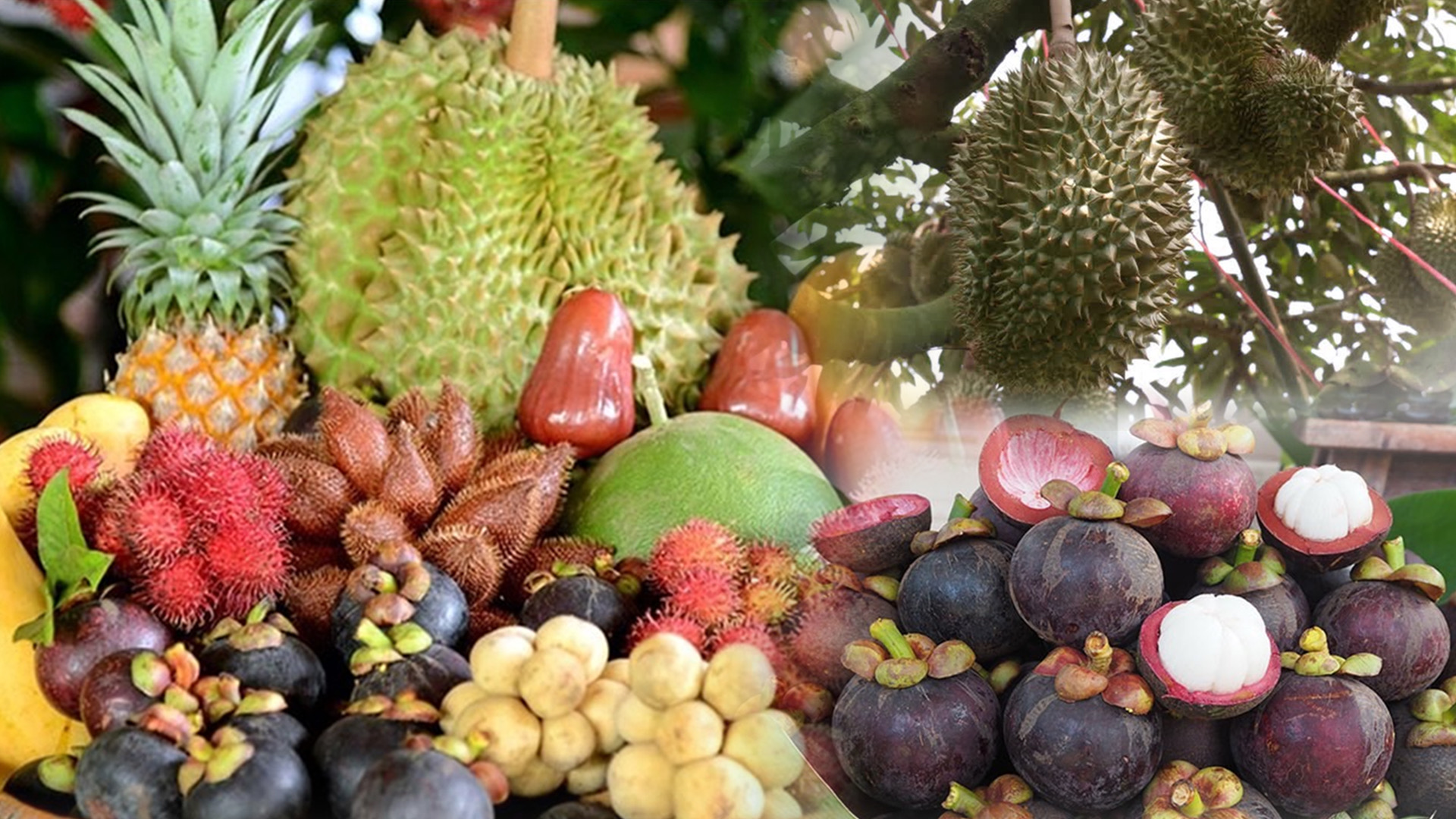 8070657E 94FD 48BF 8D8F 013BD51FC2A7