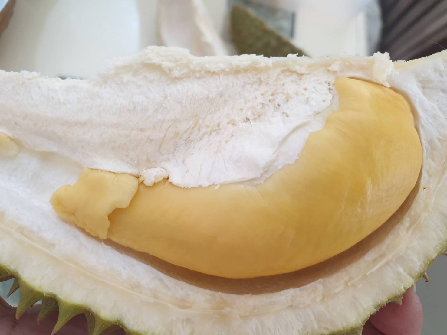 เปิดวาร์ปทุเรียน 995D759D 571F 4A35 B0E2 DD1D04E68136