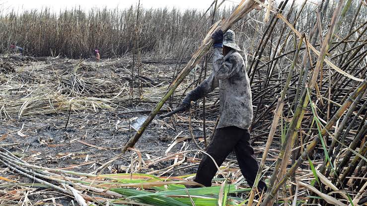 ครม.ไฟเขียวชดเชย ดบ.ให้ S 26173447