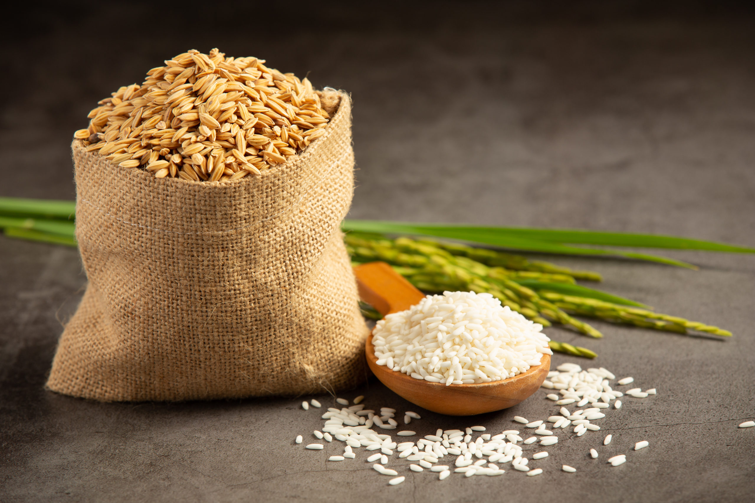 sack rice seed with white rice small wooden spoon rice plant scaled