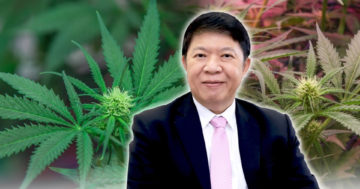 ชงร่าง2