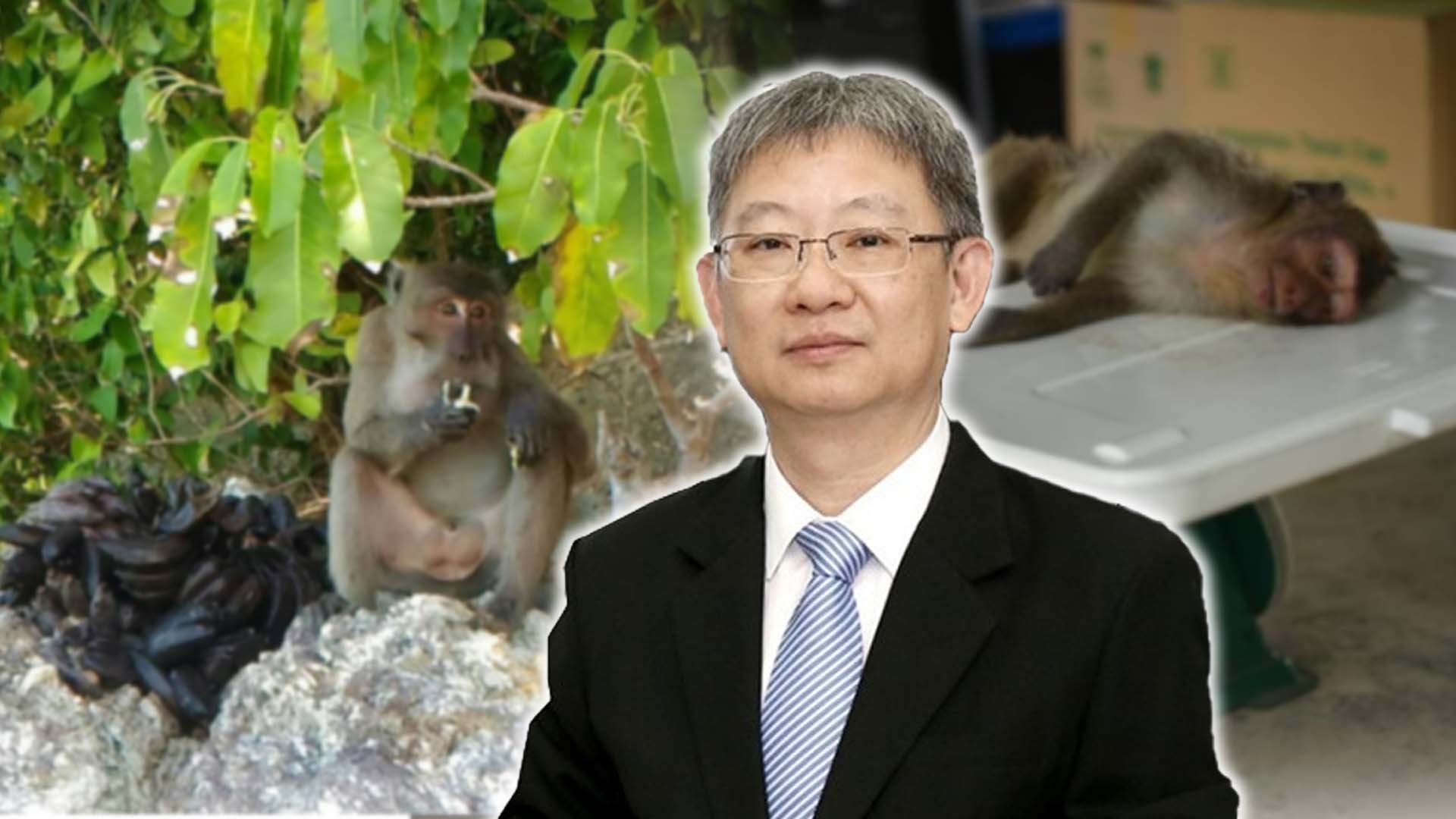 โรค2