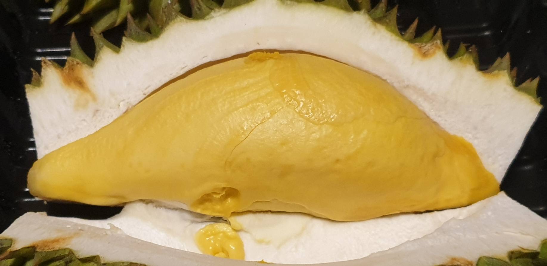 1C32CA2C 7B4B 4D4F 8393 8928CF6EC141