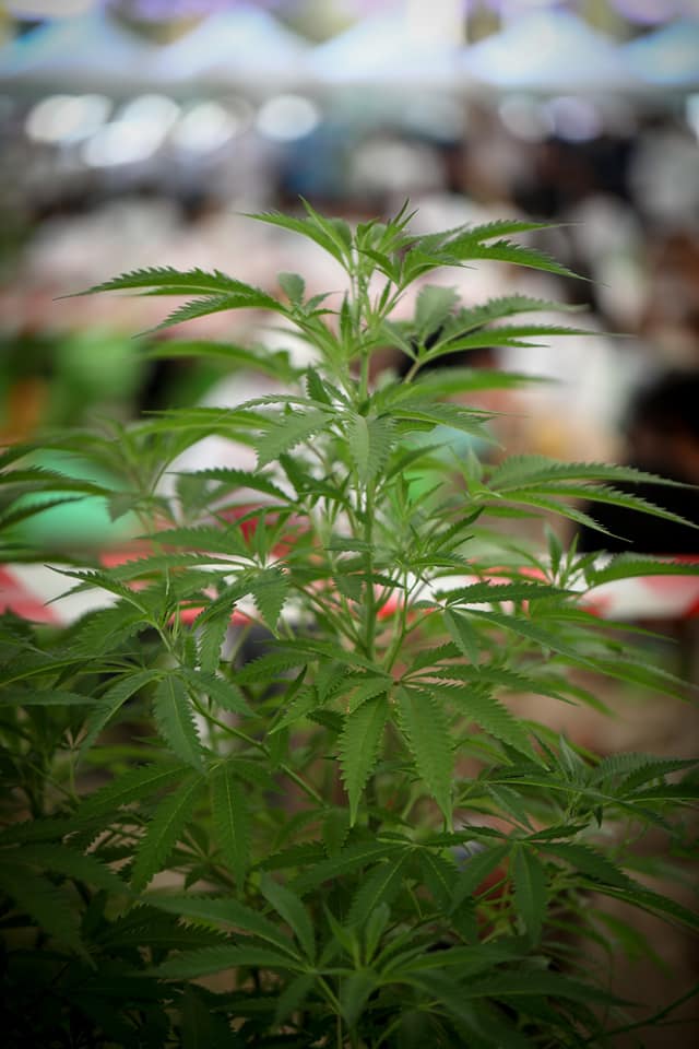 275561217 509406427216690 7726016487940960343 n 2