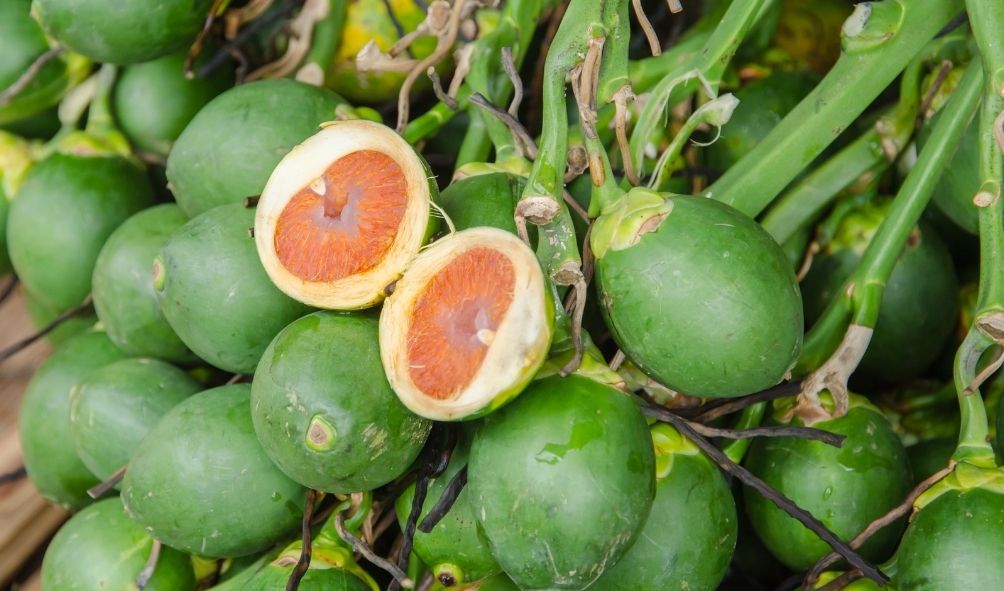 เปิดวาร์ป ”หมาก” ส่งออกเติบโตแบบก้าวกระโดด 3 40021861 C323 434A AA30 0D749045E91A