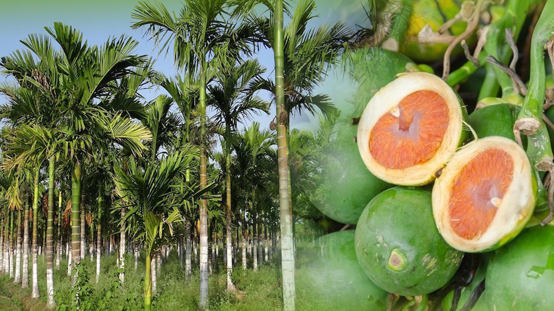 581AC3E4 8181 4A62 88F4 03F949C74B73