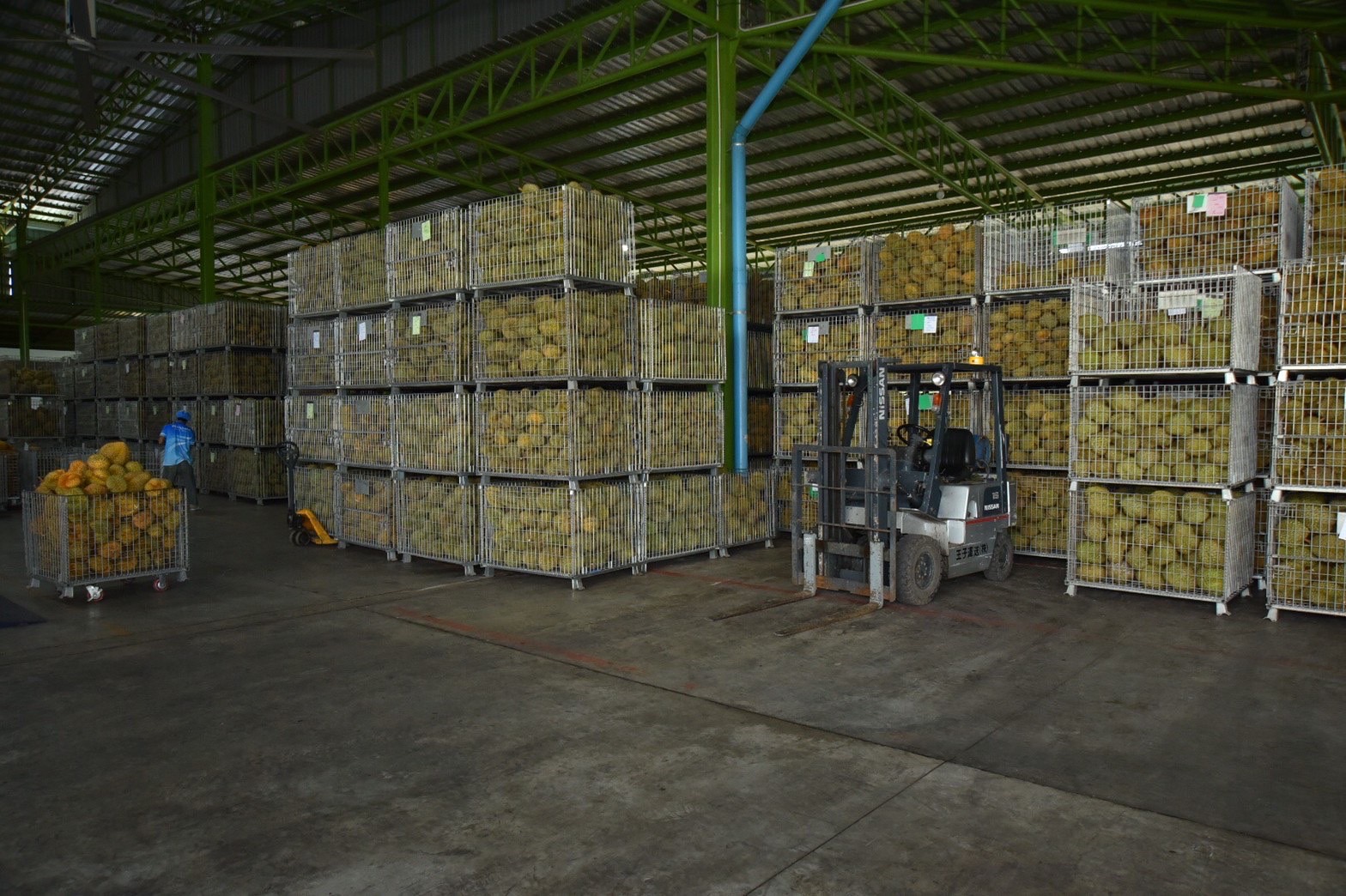 “เขาคิชฌกูฎ” ยืนหนึ่งสหกรณ์ส่งออกทุเรียนตลาดจีน ด้านทูตจีนมั่นใจเป็นไปตามมาตรฐาน GAP Plus 6 BFA42F00 6AF1 4257 9F9E 3714F82FE600