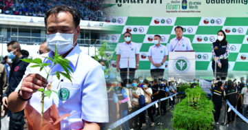 กัญ1 1