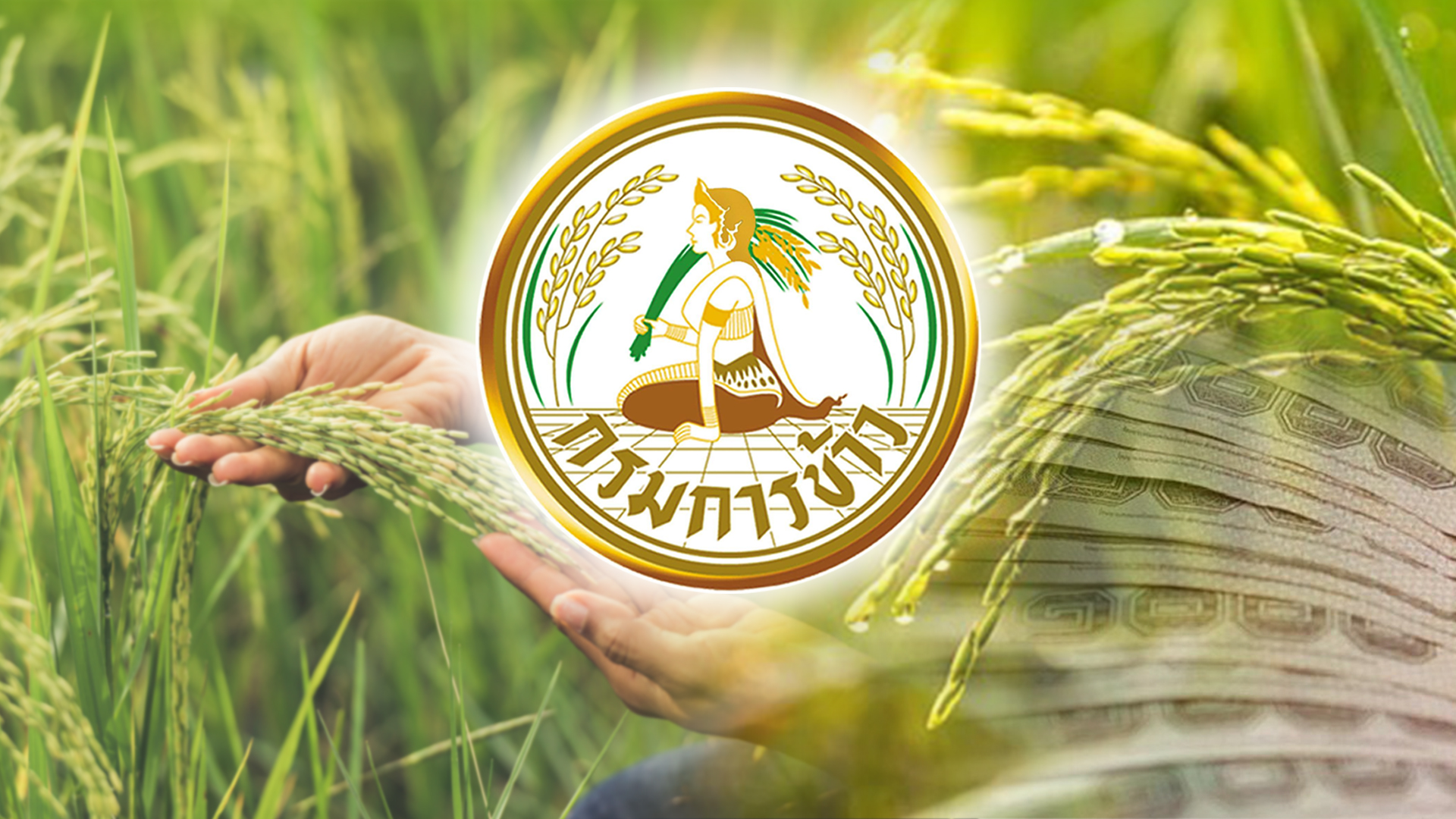 ผ่างบฯก.เกษตรฯปี 66 จำนวน 1.26 แสนล้าน กมธ.พบ ข้าว2