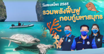 ทะเล.1