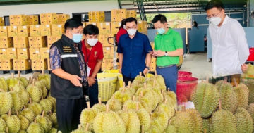 ทุเรียน2
