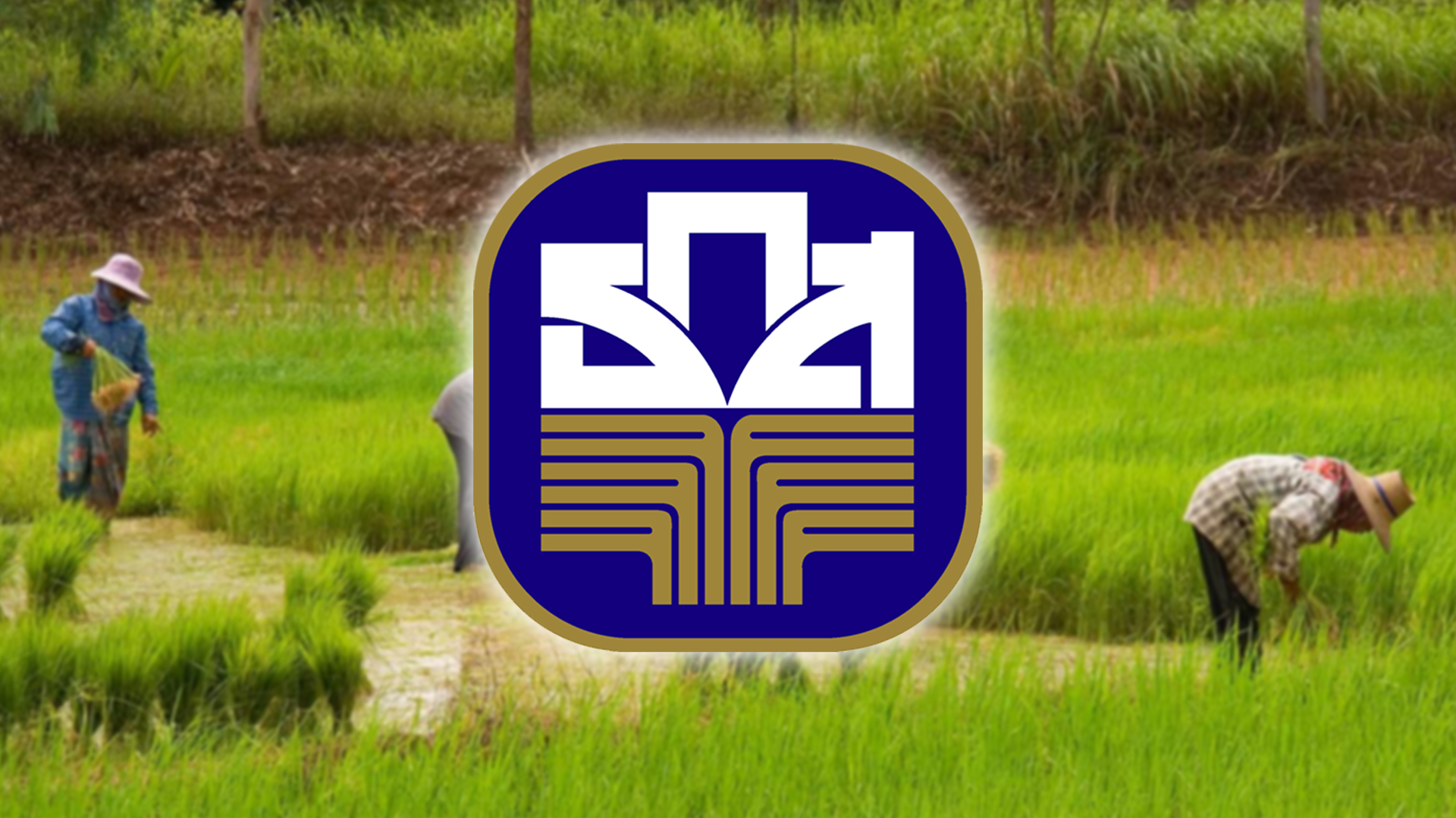 ธ.ก.ส.จัดโครงการชำระดีมีคืน -ลดดอกเบี้ยแก้หนี้ภาคครัวเรือน เสริมสภาพคล่อง นา2