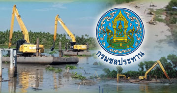 ผักตบ1
