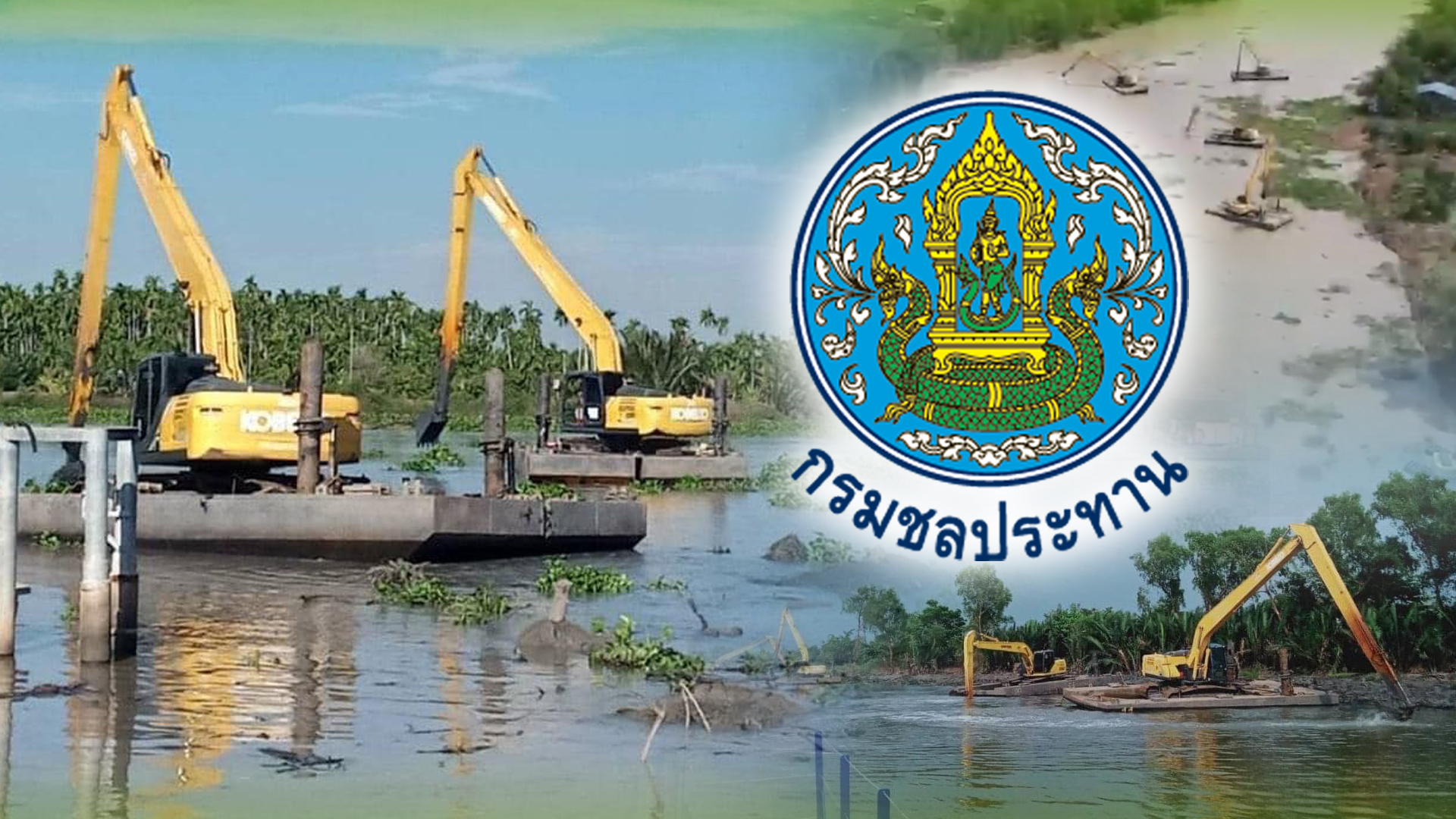 ผักตบ1