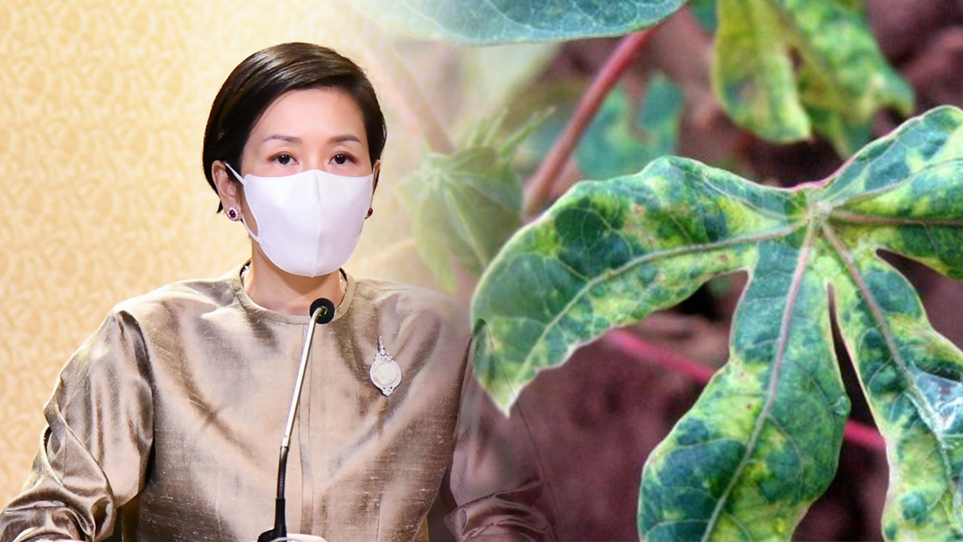 รบ.ไม่หวั่น รัฐ2