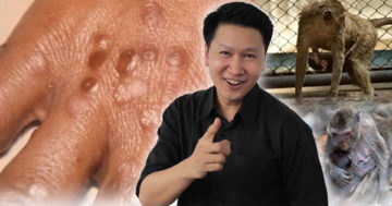 ลิง