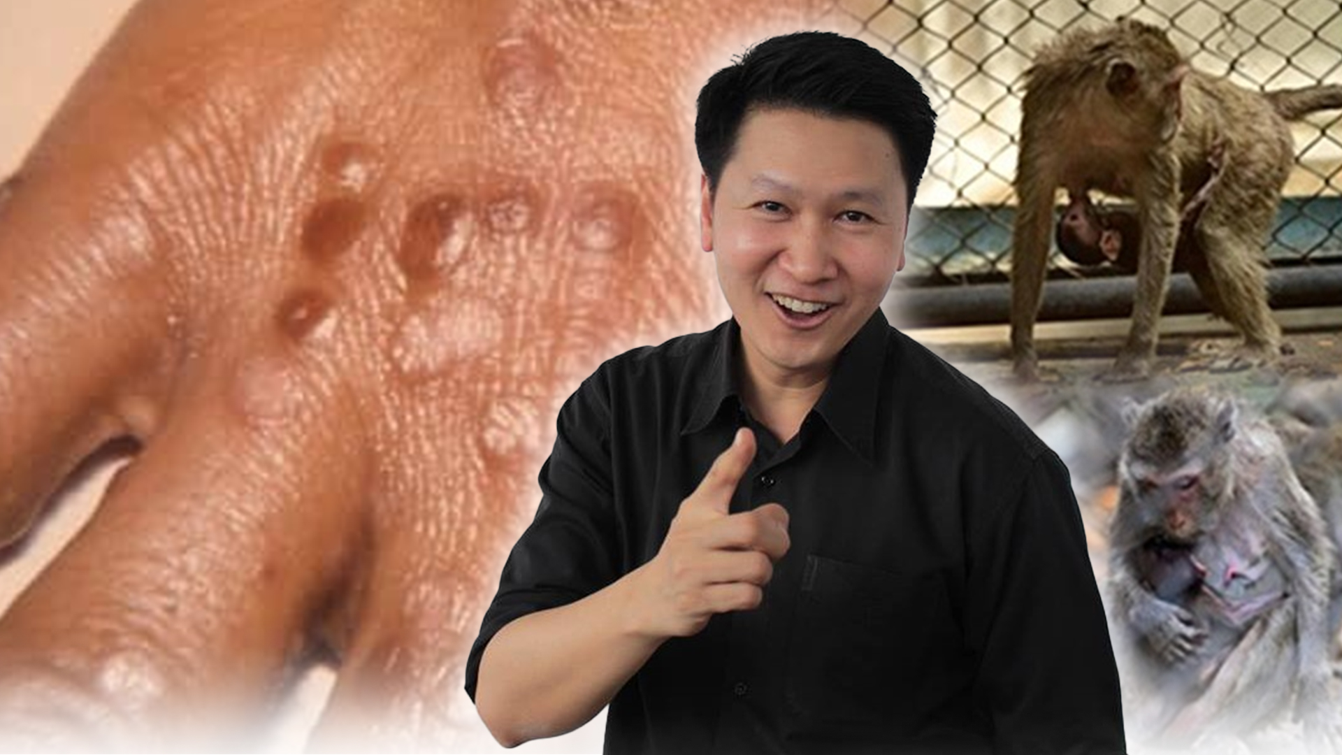 ลิง