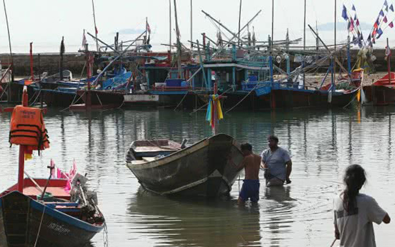 ยื่นเร่งพิจารณาร่างกฎหมายประมง วอนรัฐบาลชะลอบังคับใช้กฎหมายประมง ม.57 ห้ามจับสัตว์น้ำเล็ก สร้างความเดือดร้อนชาวประมง 2 005