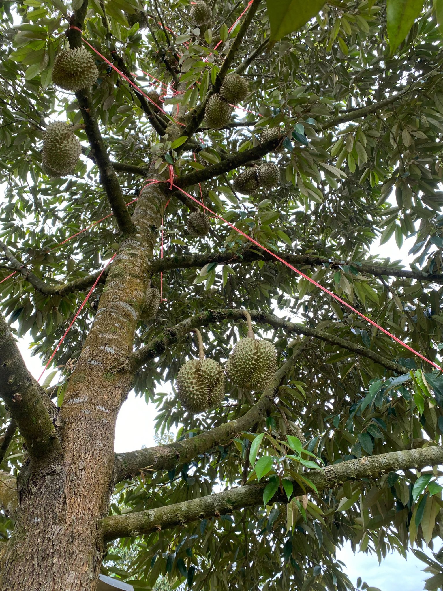 294958380 356626193310390 7051467094041395437 n