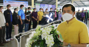 3ปี3