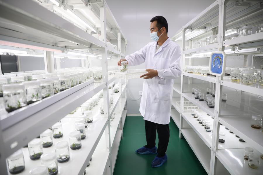 ส่งออก ‘สมุนไพรแพทย์แผนจีนโบราณ’ โตกว่า 45% ในครึ่งปีแรก 8 6093EA29 02A9 4AA1 9523 EF85E941ED18