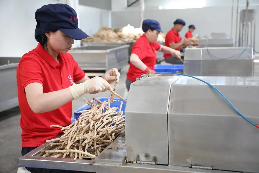 ส่งออก ‘สมุนไพรแพทย์แผนจีนโบราณ’ โตกว่า 45% ในครึ่งปีแรก 2 64AD6282 43C3 421A 9774 C241A71E2D03