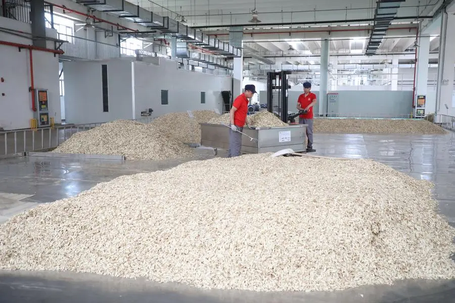 ส่งออก ‘สมุนไพรแพทย์แผนจีนโบราณ’ โตกว่า 45% ในครึ่งปีแรก 4 6B540764 72AC 4FF0 AD35 809420BD59F8