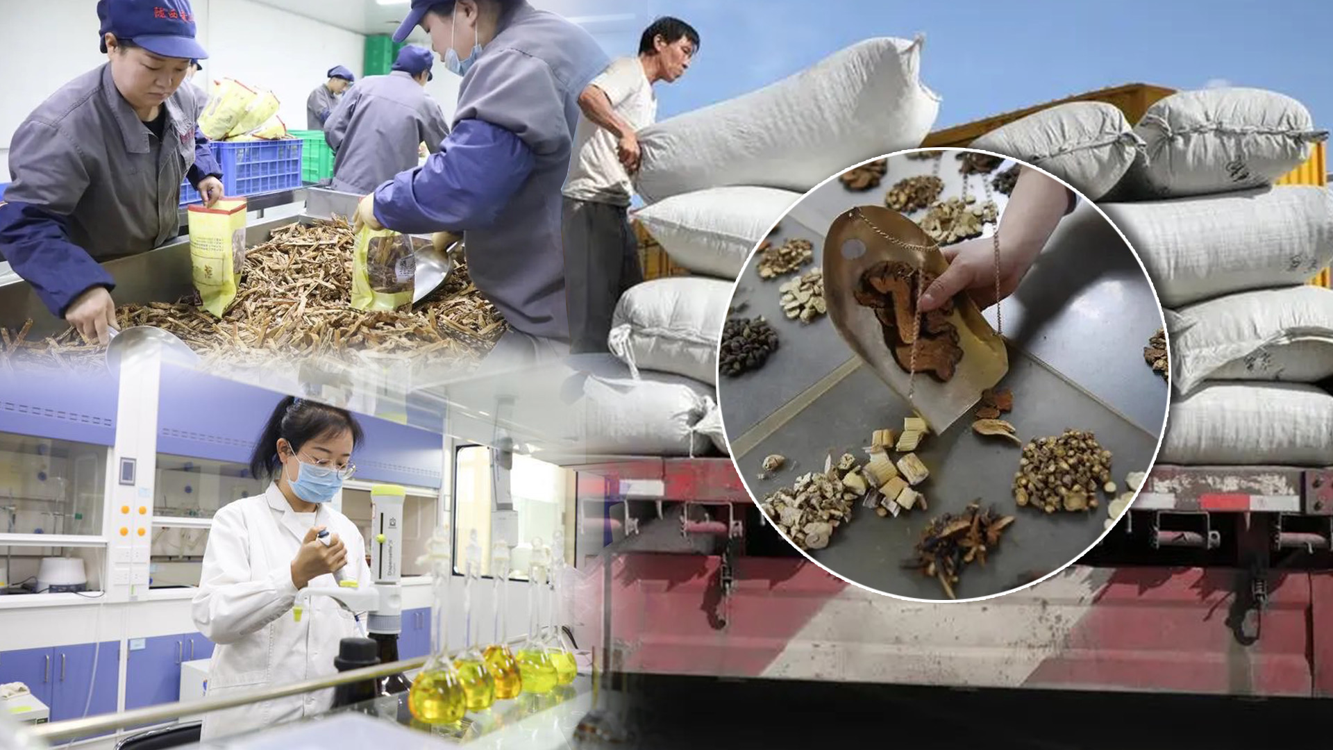 ส่งออก ‘สมุนไพรแพทย์แผนจีนโบราณ’ โตกว่า 45% ในครึ่งปีแรก 1 7CEF2178 47DF 4062 99D5 C64FA7016480