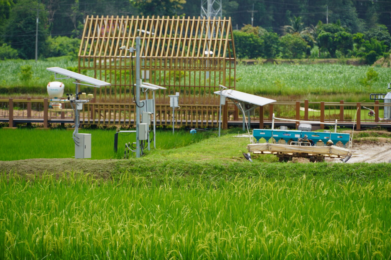 DSC07862 1536x1021 1 1