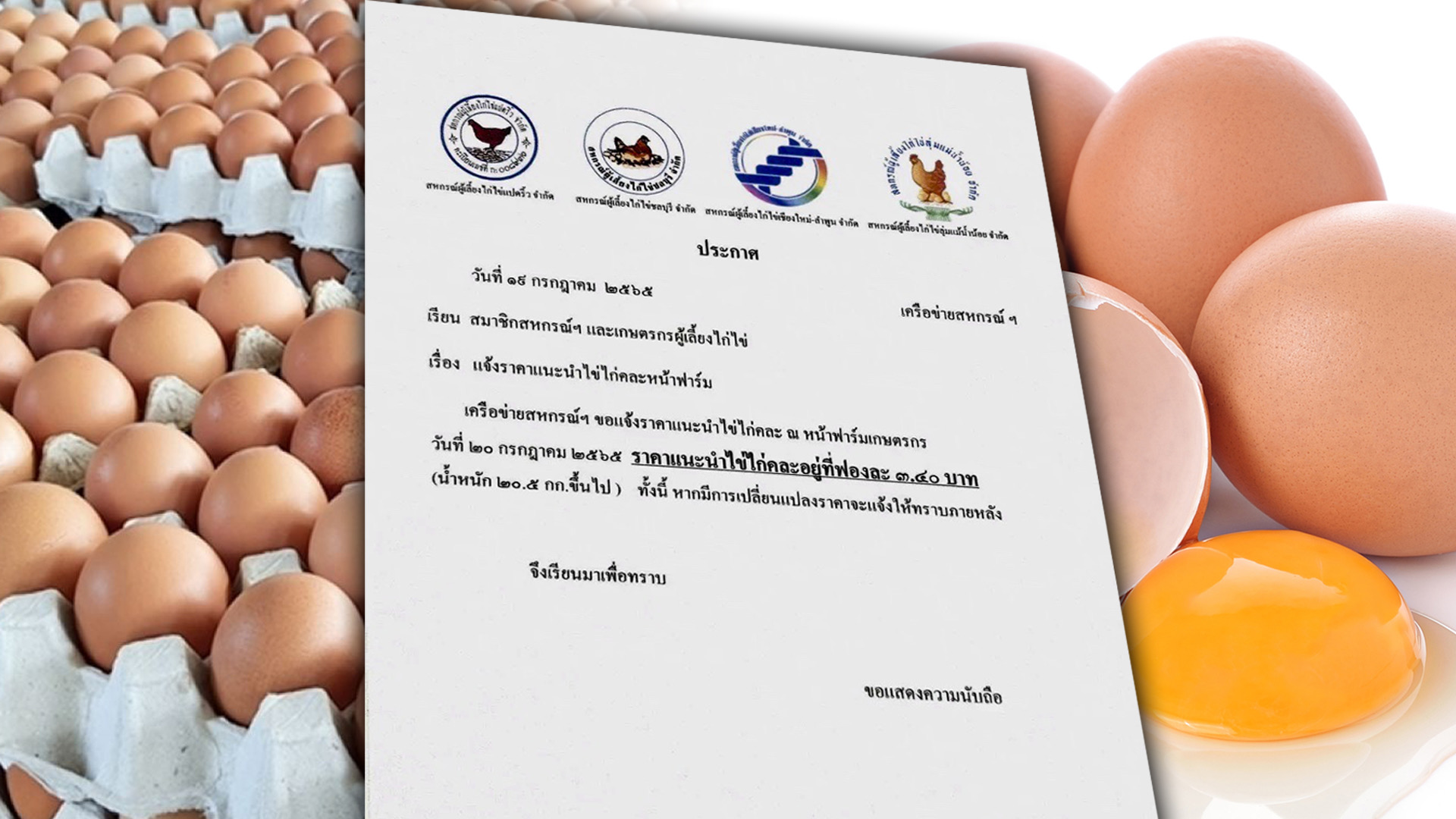 “สหกรณ์ผู้เลี้ยงไก่ไข่”ประกาศปรับขึ้นราคา F724991E CB8F 43F9 9364 3899B53040D7