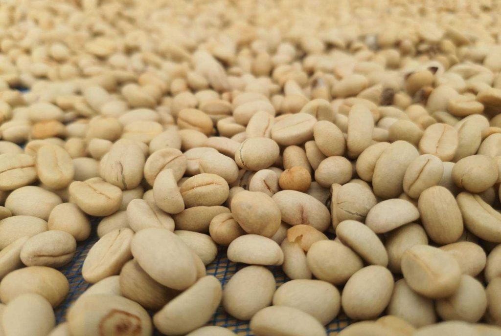 pic coffee 7 e1655474983669 1024x688 1