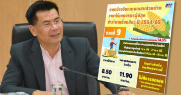 ข้าวโพด3 1